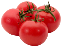 Tomato_je