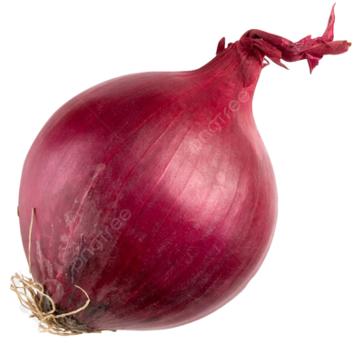 pngtree-shallot-or-red-onion-png-transparent-png-image_6402672